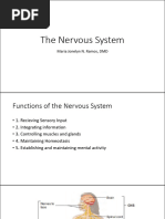 The Nervous System