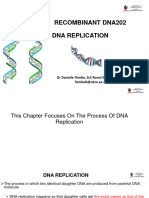 DNA Replication