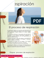 Unidad 2 - Proceso de La Respiracion