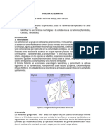 Guía de Helmintos 2022 - Versión Actualizada