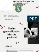 Perito Generalidades, Informe Pericial