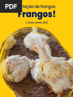 Criação de Frangos