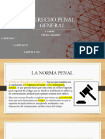 Derecho Penal Temas