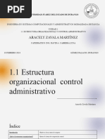 ASC AZM 1.1 Estructura Organizacional y Control Administrativo