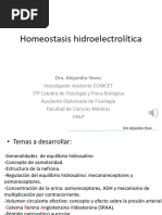 Homeostasis Hidroelectrolitica