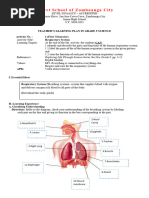 Activity 1 Respiratory System