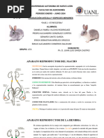 Fase 2 - Cunicultura 29-02-24