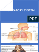 Introduction of Thorax