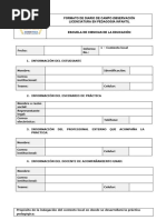 Anexo 1 - Formatos Diarios de Campo-Práctica de Observación - Fase 2