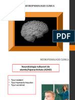 Neuropsihologie Clinica Curs 8