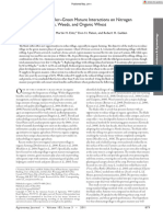 Blade Roller-Green Manure Interactions On Nitrogen Dynamics, Weeds, and Organic Wheat