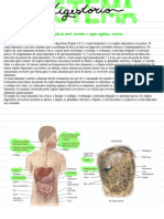 Sistema Digestório Roteiro Personalizado