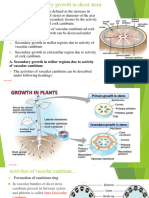 Secondary Growth