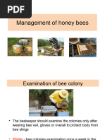 Management of Bees