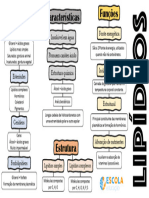 Mapa Mental Lipídios