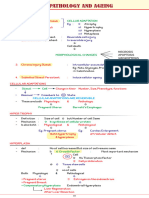 DR Divesh Mishra's Pathology Notes