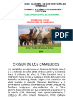 Produccionde Camelidos