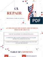 DNA Repair PPT Report - Getalla, Claire Ann