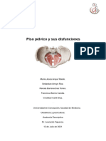 Piso Pélvico y Sus Disfunciones.