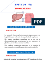 Cap 8 Gluconeogénsis