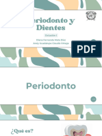 Periodonto y Dientes