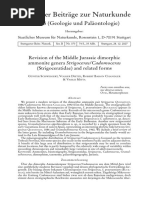 Revision of The Middle Jurassic Dimorphi