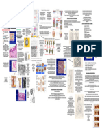 HISTOLOGIA