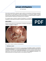 Anatomía Retrotimpánica.