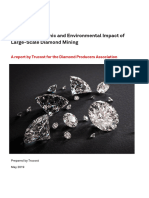 The Socioeconomic and Environmental Impact of Large Scale Diamond Mining - Dpa - 02 May 2019