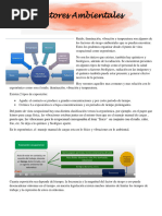 6 Factores Ambientales