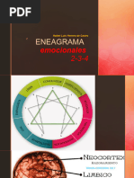 ENEAGRAMA - Triada Emocional - Subtipos 2-3-4