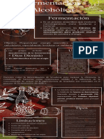 Fermentación Infografia