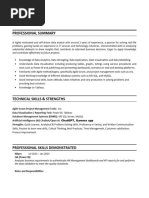 Resume 2