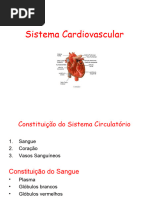 Sistema Cardiovascular