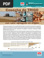 Cosecha de Trigo