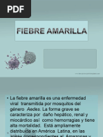 Fiebre Amarilla