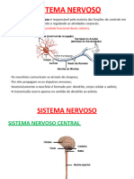 Sistema Nervoso