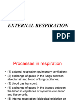 6.2 External Respiration