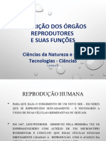 Orgaos Reprodutores e Funcoes