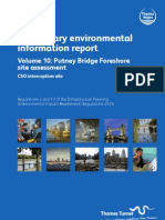 PEIR Main Report Vol10 Putney Bridge Foreshore