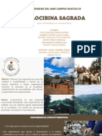 Informe Técnico - Psilocibina Sagrada - Una Experiencia Ancestral - Experiencia Psicoturística