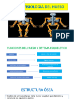 Morfofisiologia Ósea