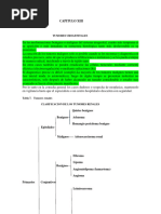 Capitulo Xiii Tumores Urogenitales