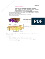 Bases Biologicas Clases