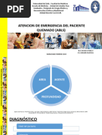 Atencion de Emergencia Del Paciente Quemado (Abls) Febrero 2024