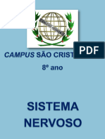 Sistema Nervoso