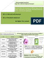 B2 Revision PIXL