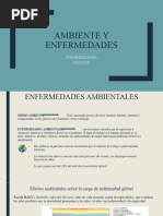 Ambiente y Enfermedades