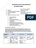 Informe Descriptivo Anual Saanee 2023