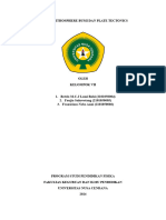 Lapisan Lithosphere Bumi Dan Plate Tectonics-Ipba Kel7